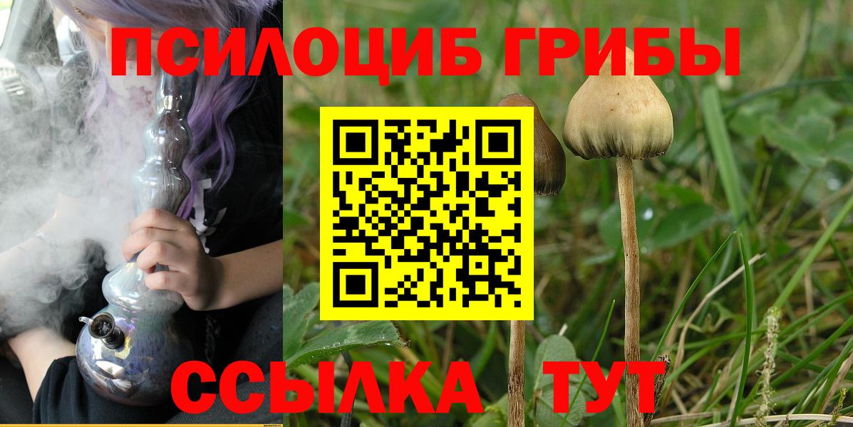 Калач-на-Дону  Псилоцибиновые грибы Magic Shrooms  Вход с VPN 