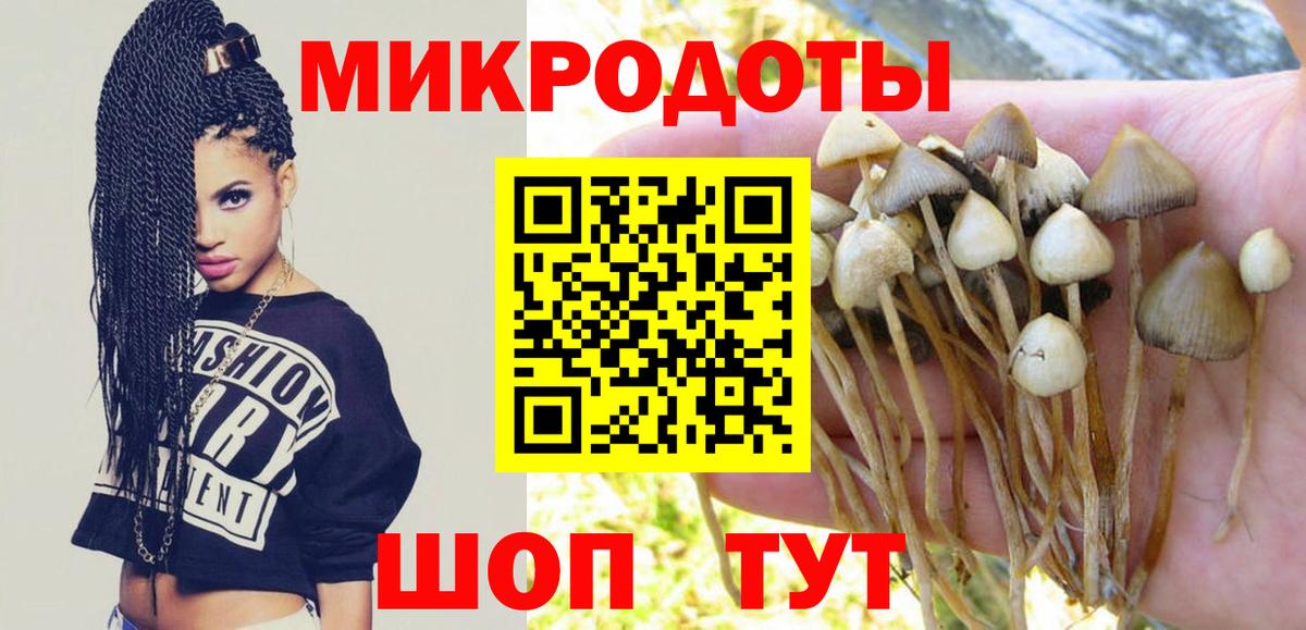 Галлюциногенные грибы Cubensis Калач-на-Дону